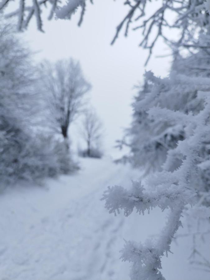 Penzion U Zpěváků Nove Hute Exterior foto